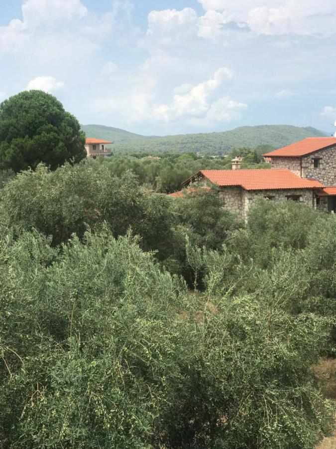 Olivegrove House Lägenhet Vourvourou Exteriör bild