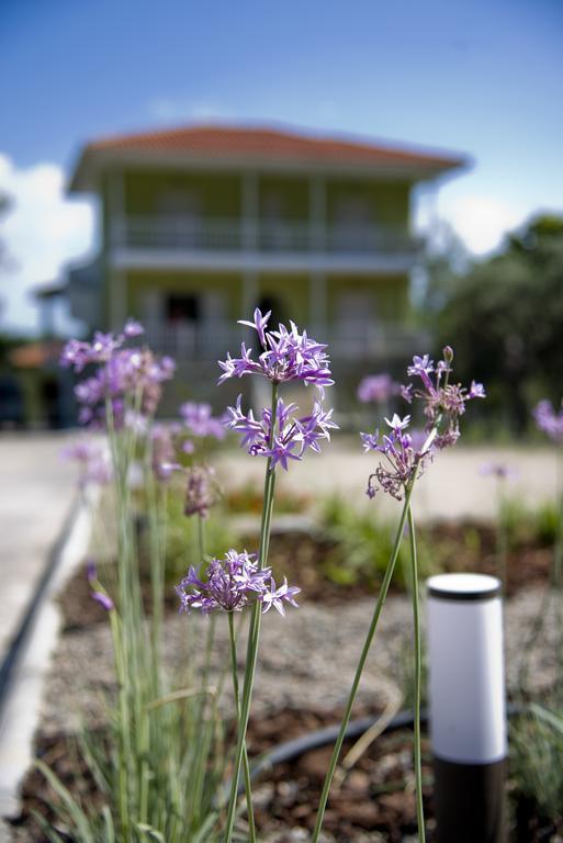 Olivegrove House Lägenhet Vourvourou Exteriör bild